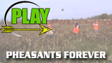PHEASANTS FOREVER